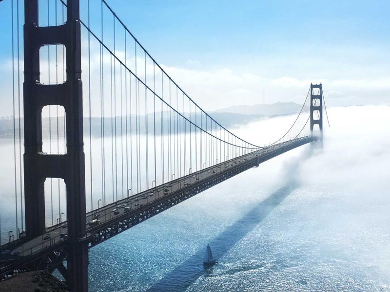墨西哥亡灵节<br>efewuuh.cn 万寿菊桥归途
